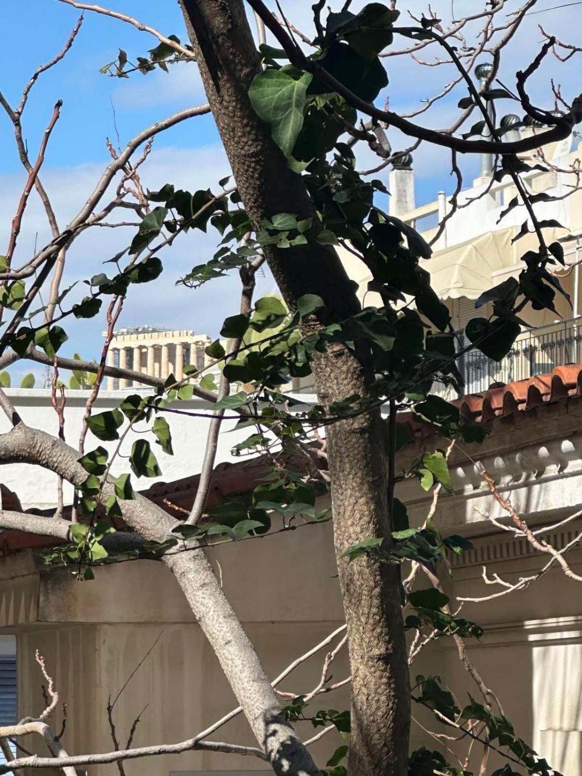 Bingo!!!Studio-5'To Acropolis أثينا المظهر الخارجي الصورة